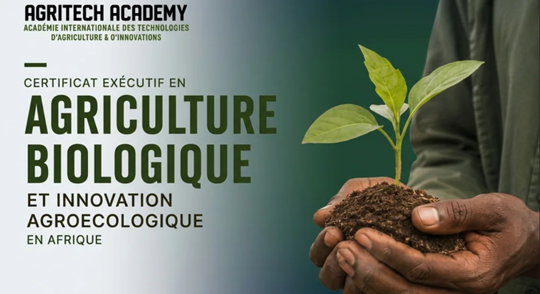 Affiche du Certificat Exécutif en Agriculture Biologique et Innovation Agroécologique en Afrique