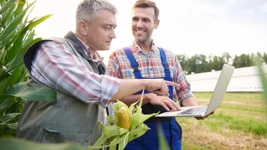 Capteurs connectés installés dans une parcelle agricole