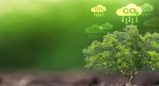 Analyse de données de bilan carbone agricole sur ordinateur