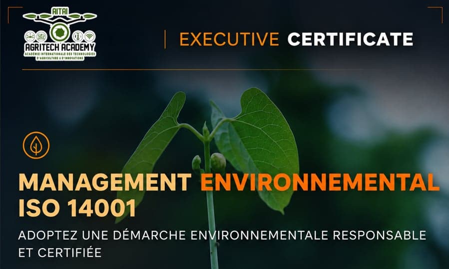 Bannière du Certificat Exécutif Auditeur Environnemental ISO 14001