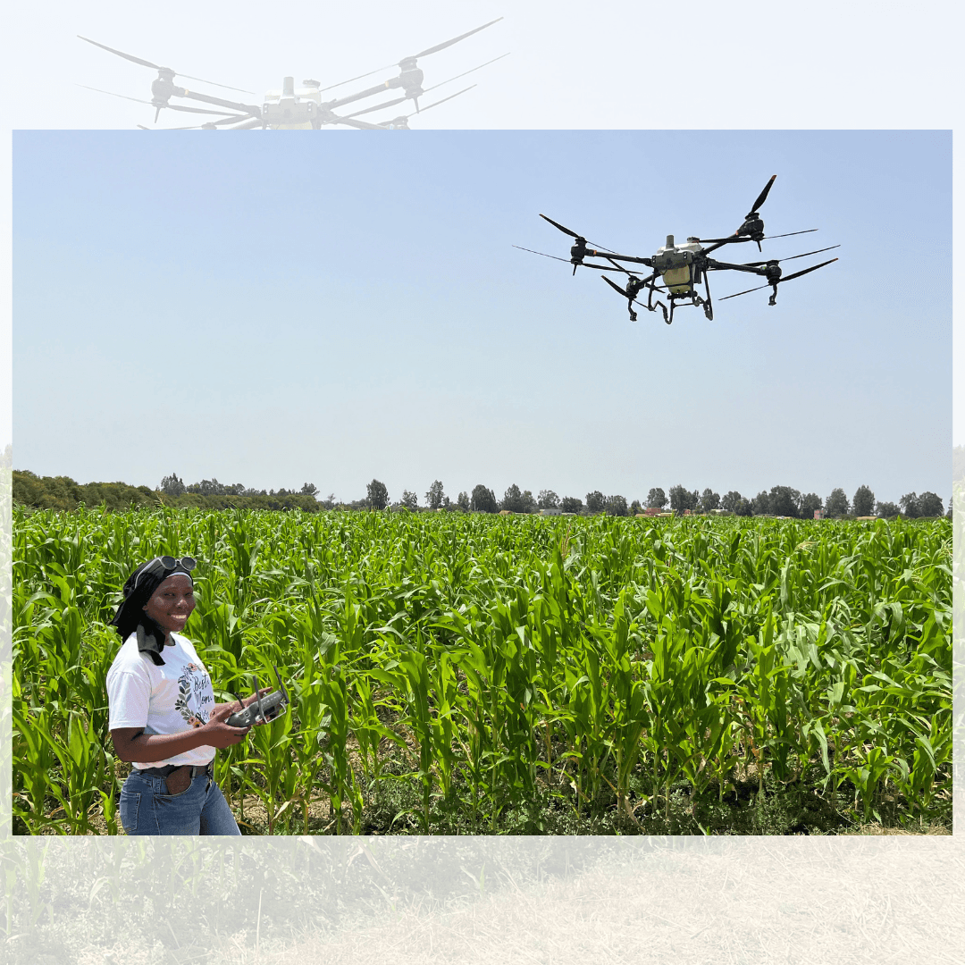 Agriculture photo 13