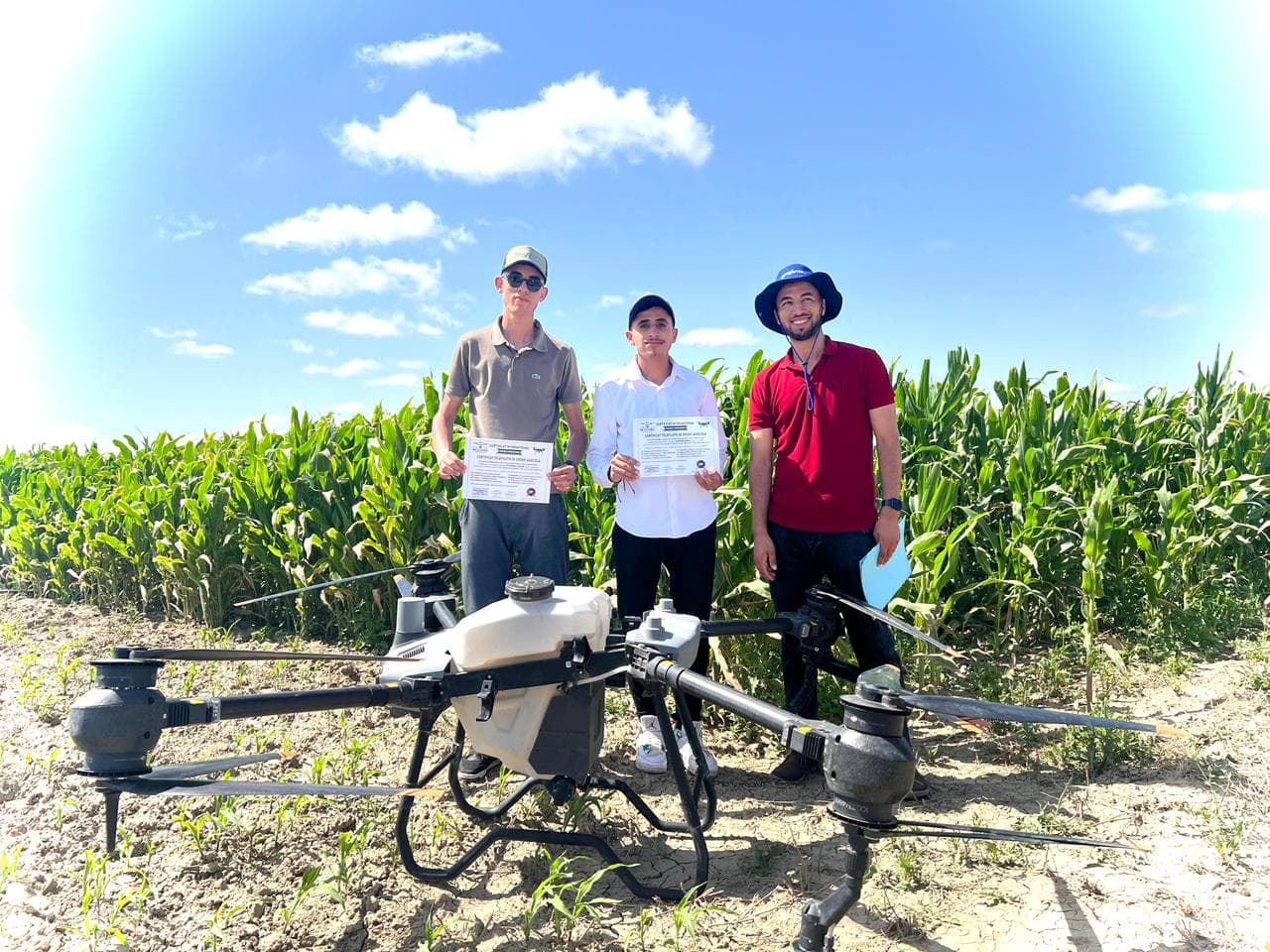 Agriculture photo 14