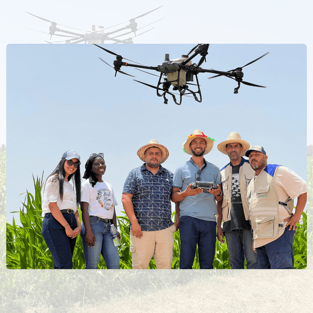 Agriculture photo 6